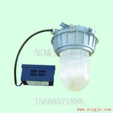 點擊查看詳細信息<br>標題：廠房應急照明燈DGS35/70-220 閱讀次數(shù)：2532